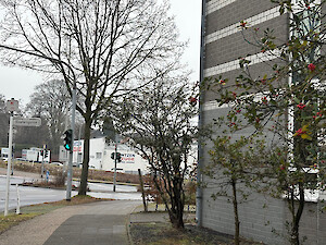 Neue WG auf der Kloetersgasse